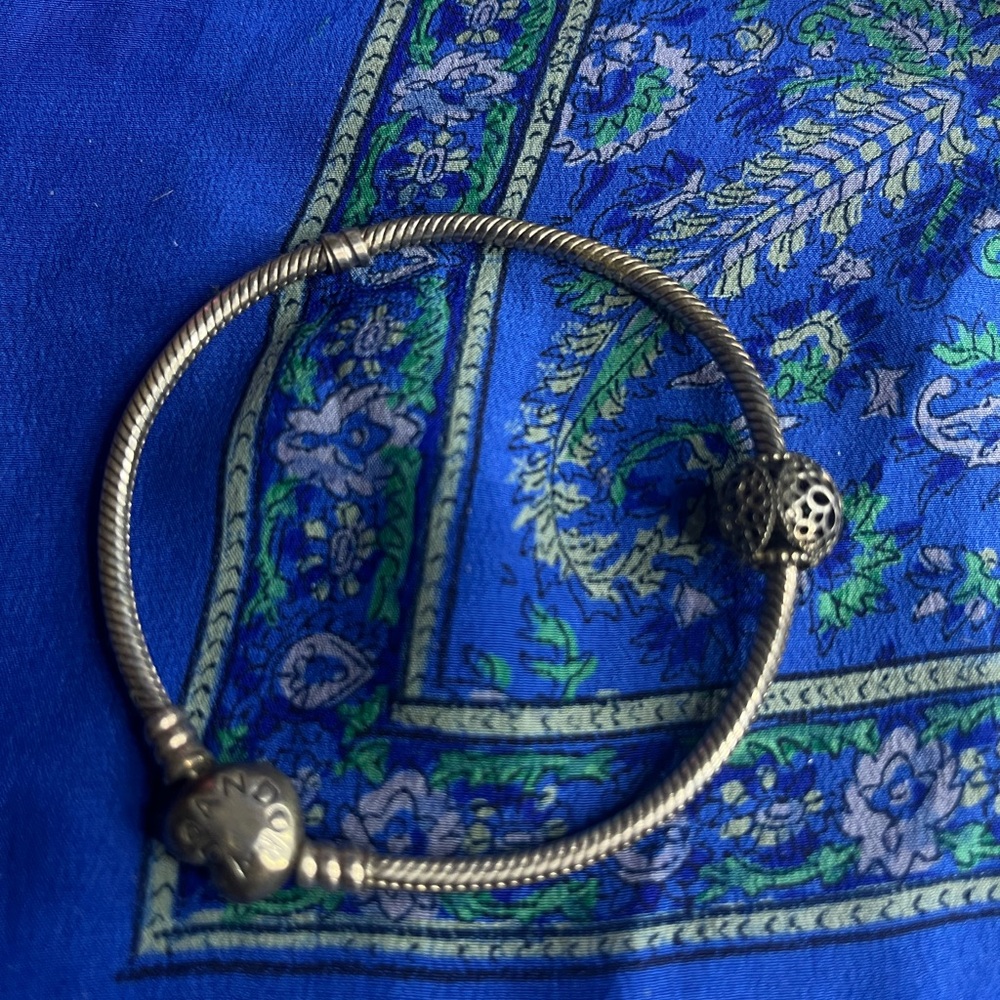 Pandora Charm Bracelet